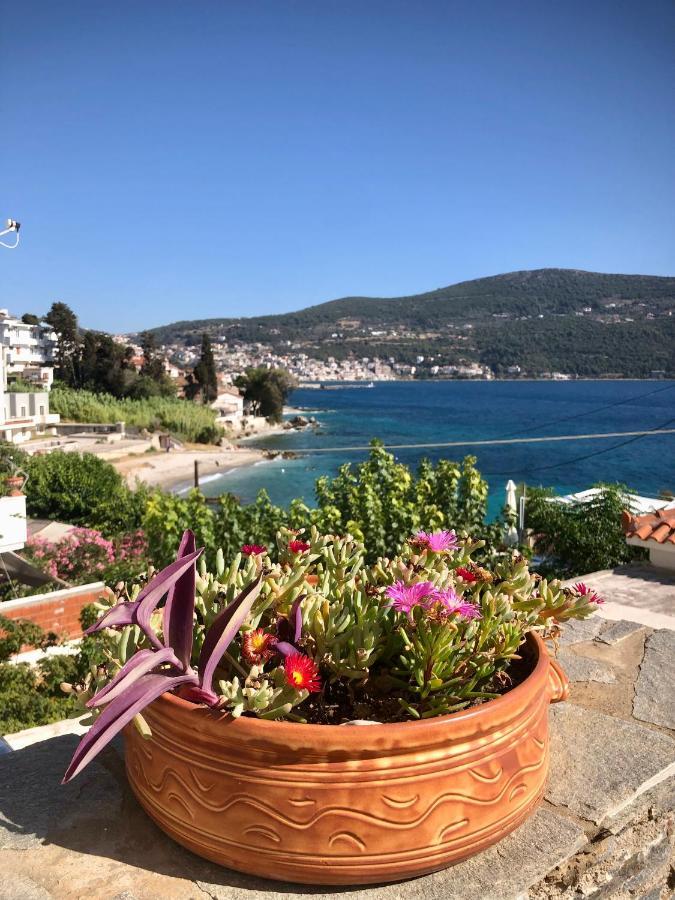 Afroessa & Tatil Evi