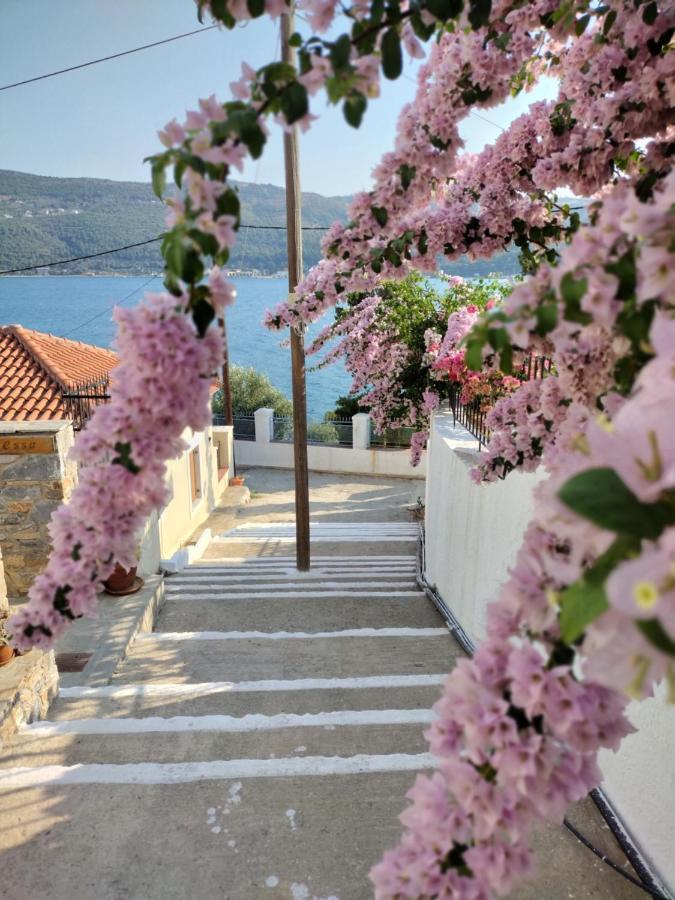 Afroessa & Samos Town