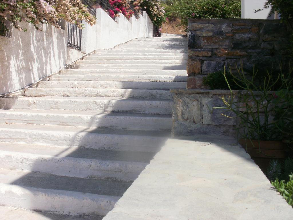 Afroessa & Holiday home Samos Town
